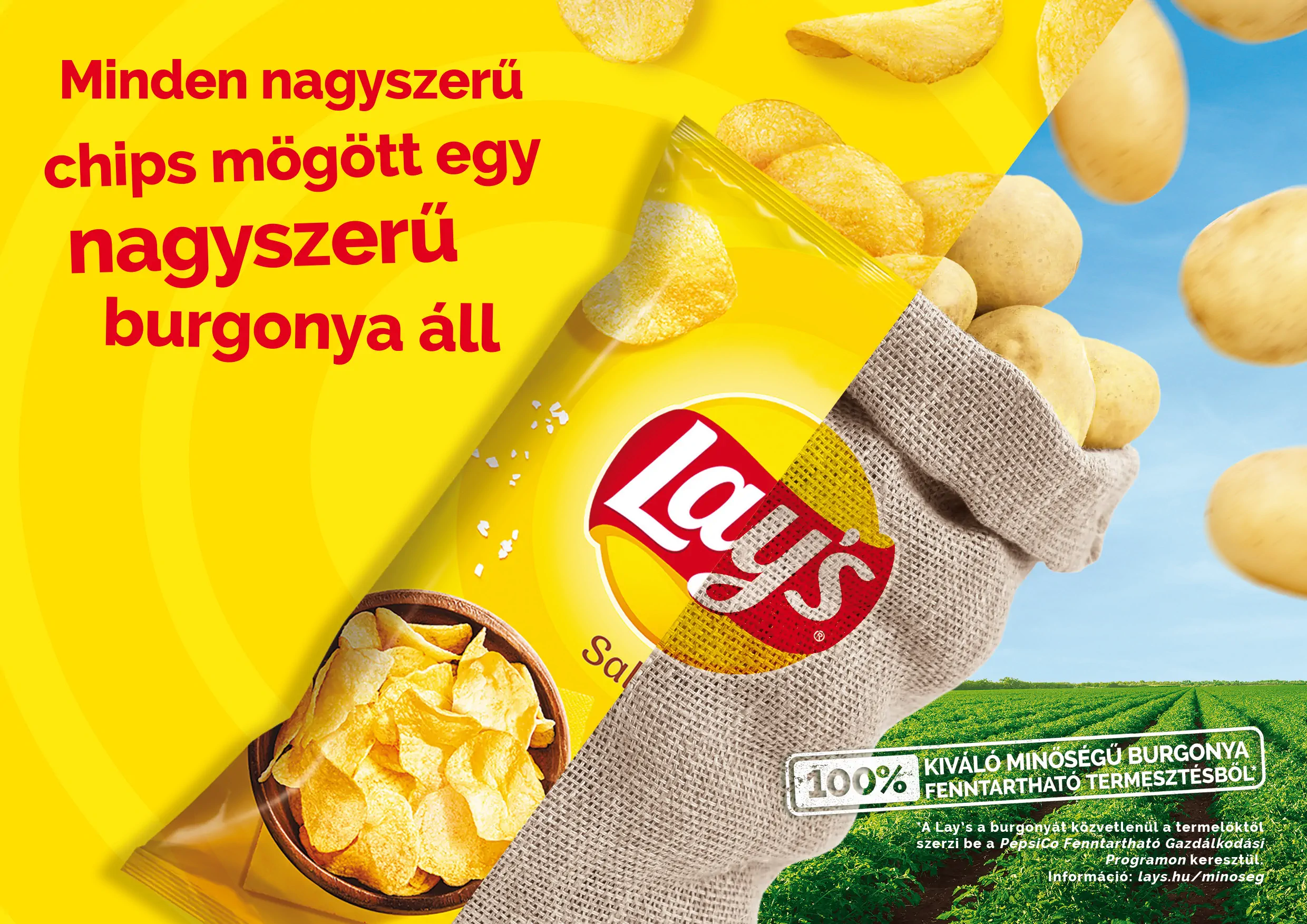 lays